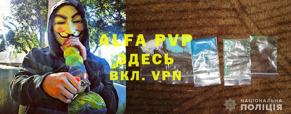 a pvp Абаза