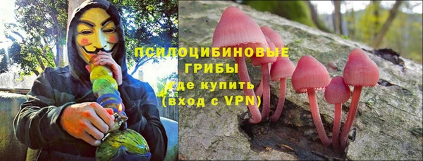 дмт Алзамай