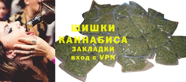дмт Алзамай