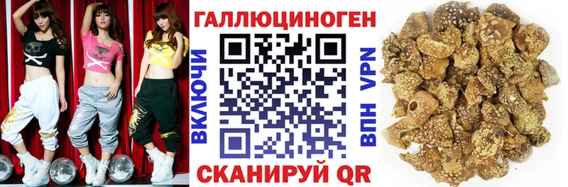 блэк спрут зеркало  Котлас  Галлюциногенные грибы Magic Shrooms  как найти наркотики 