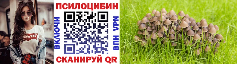 Псилоцибиновые грибы GOLDEN TEACHER Котлас