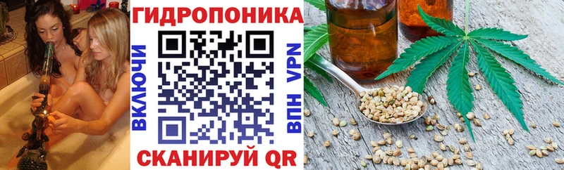 блэк спрут онион  Котлас  Марихуана LSD WEED 